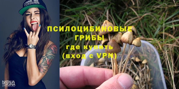 соль ск Костерёво